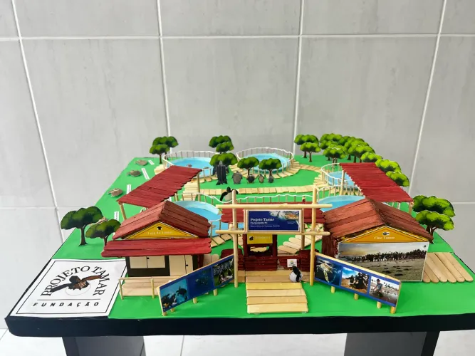 Maquete Escolar Projeto Tamar Floripa SC