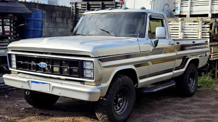 Ford F-1000 S. S. Diesel / S.s. Diesel Turbo 1990