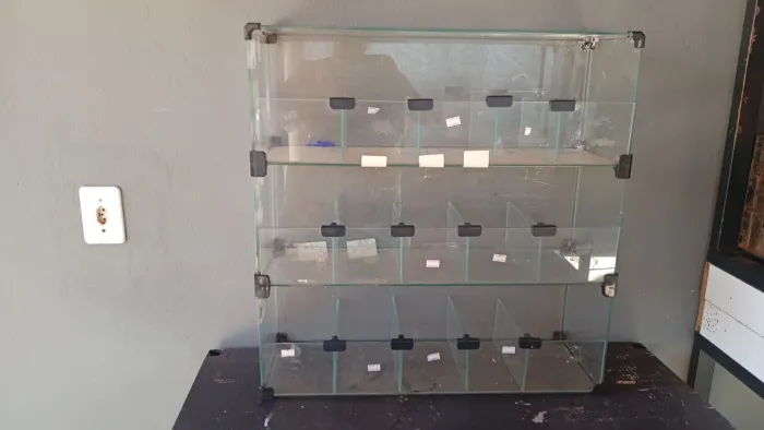 Baleiro para Caixa