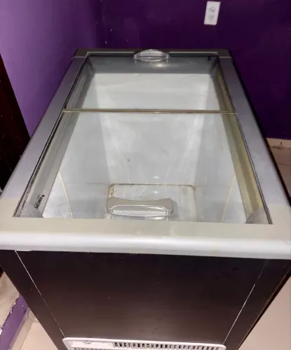 Freezer Fricon 311L