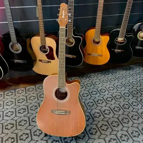 Violão Dolphin Wd 60 novo, sem uso