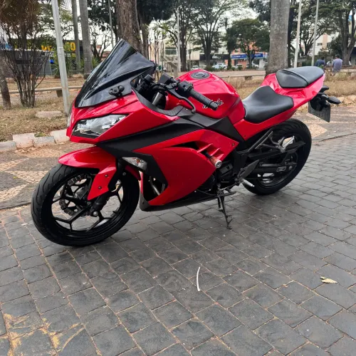 Kawasaki Ninja 300