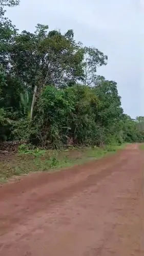 Moura Gestor Imobiliario Vende Uma Area Rural em Mocajuba com 92.000m2(115x800), Pará