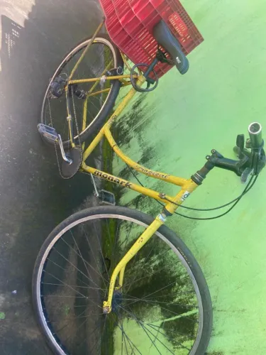 Bicicleta relíquia 