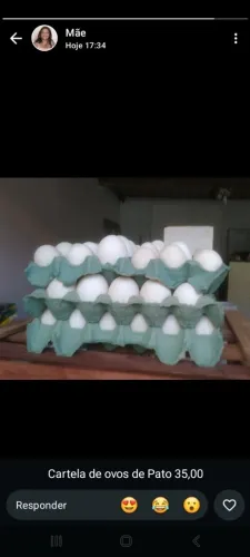 Ovos de pata