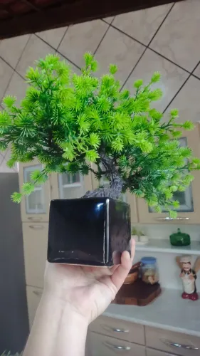 Bonsai Artificial com vaso suporte