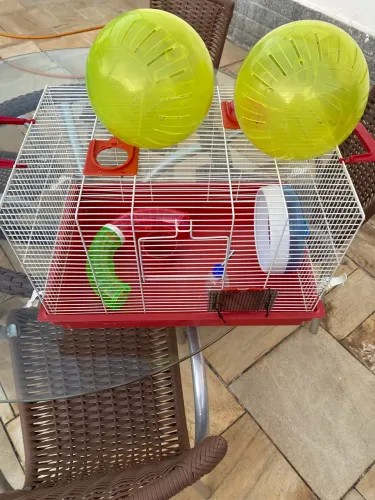 Gaiola para ramister