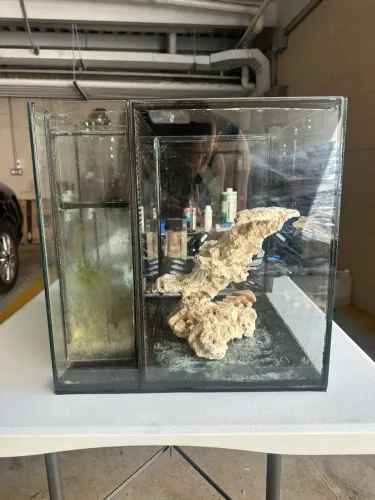VENDO AQUÁRIO COMPLETO