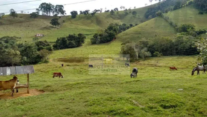 Sítio à venda, 181500 m² Serrinha - Borda da Mata/MG