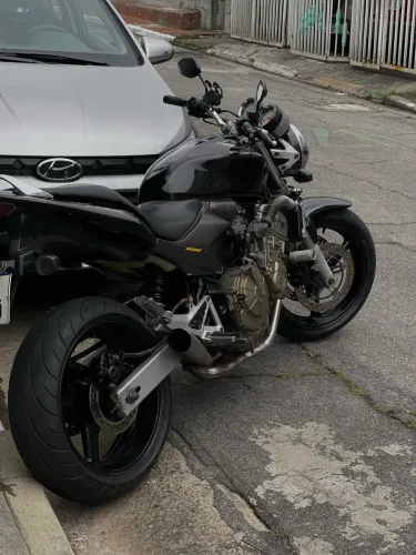 Hornet 
