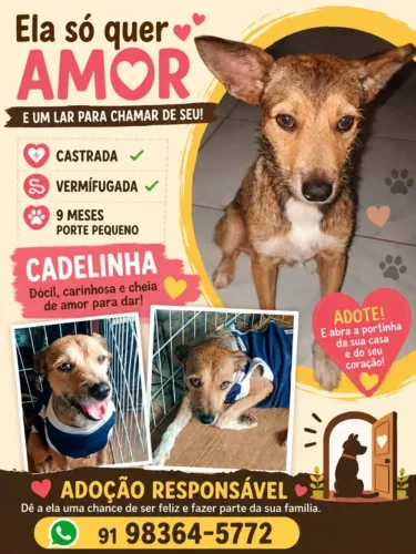 Adoção responsável