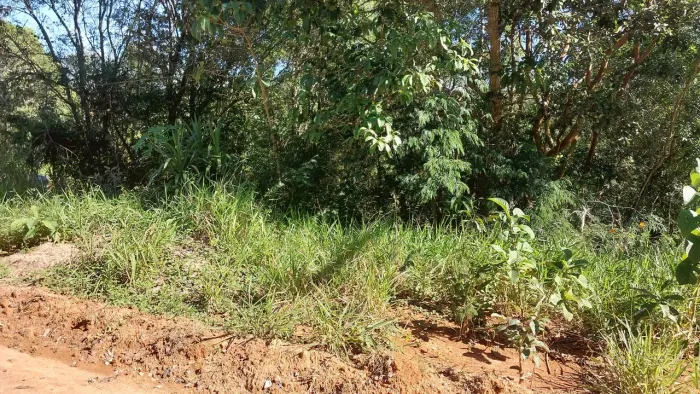 VENDO LOTE JARDIM CANANÉIA- 1.250,00 M2 - EXELENTE OFERTA