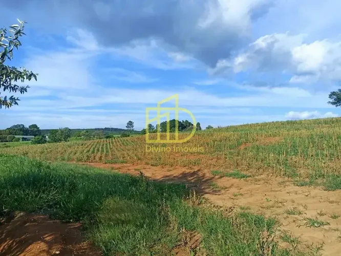 Sítio à venda, 11,7 Alqueires por R$ 3.000.000 - Zona Rural - Tatuí/SP