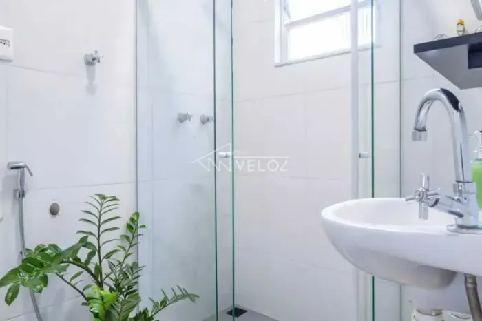 Apartamento : Padrão / Residencial / Catete