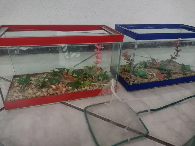 2 Aquários e uma rede