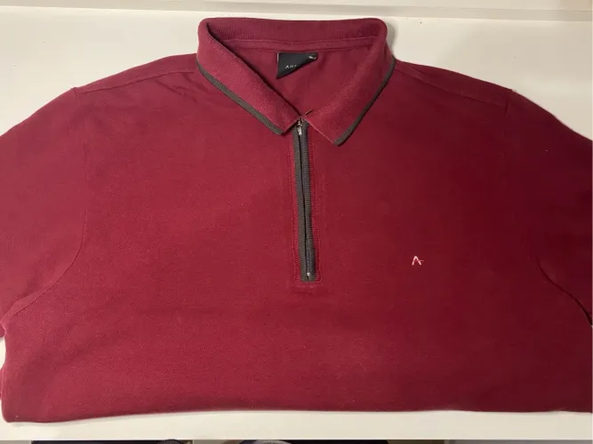 Polo Aramis com zíper 