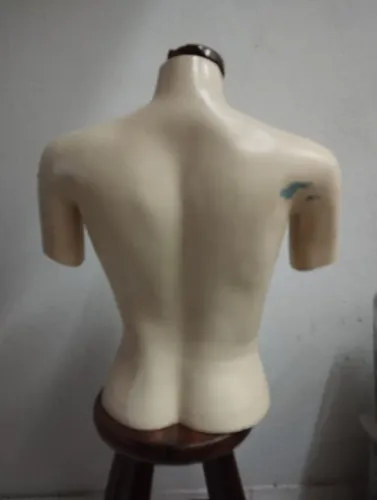 Busto de manequim feminino de fibra