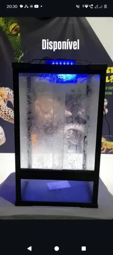 Terrário biosuud de vidro