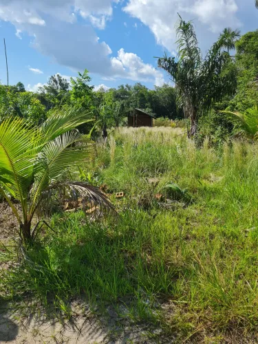Chácara perto do cantá fica 50 km de boa vista.