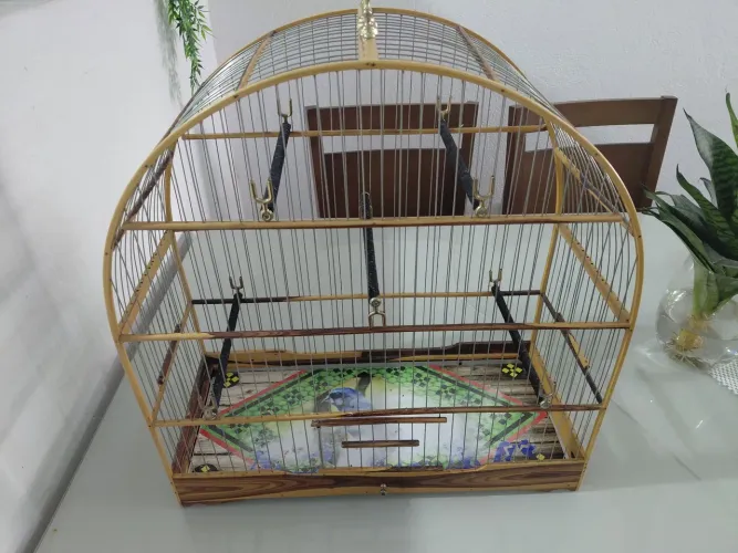 Gaiola pra azulão pra venda.