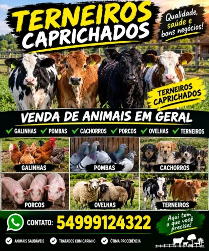 Terneiros