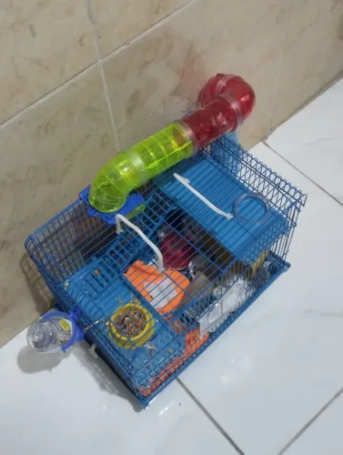 Casa de Hamster ?