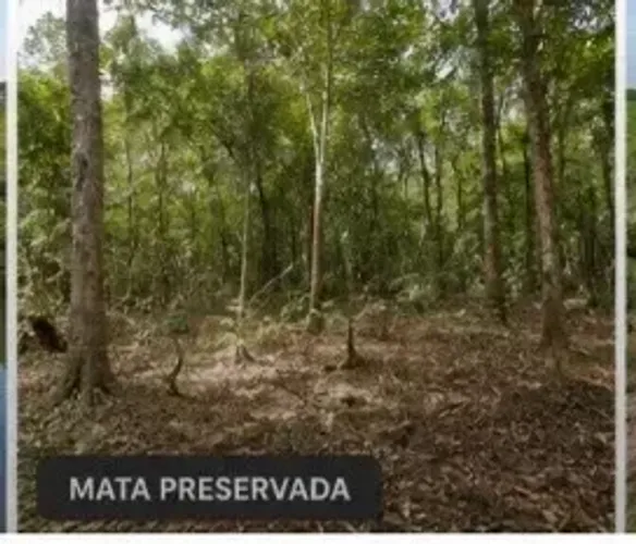 Propriedade Rara no Litoral Maranhense | 370 Hectares de Terra Produtiva