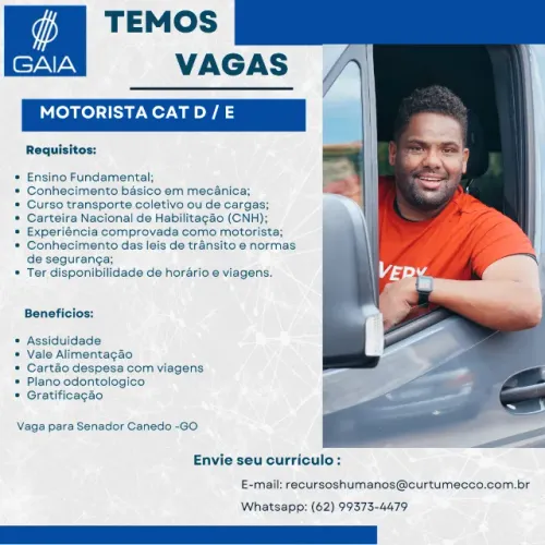 MOTORISTA CAT D  e E 