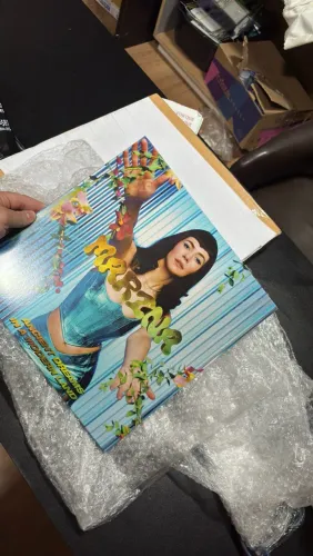 Disco de vinil Marina and the diamonds ancient dreams in a modern land blood records