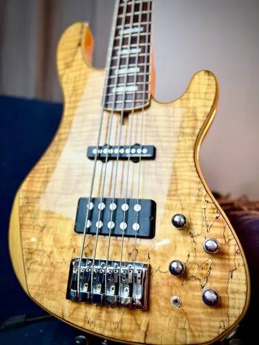 Contrabaixo Cort GB5 Custom