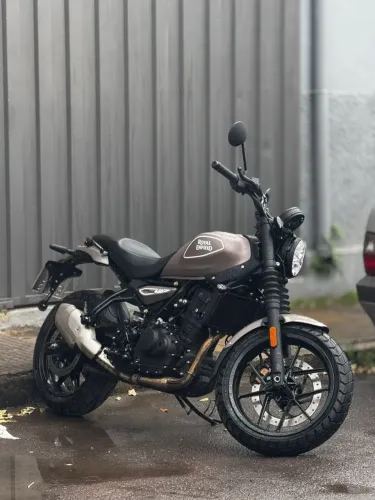 Guerrilla 450 / Peix Bronze - Letícia