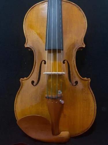 Violino 4/4 Stradivari - Profissional ,feito por Luthier, todo em madeiras importadas 