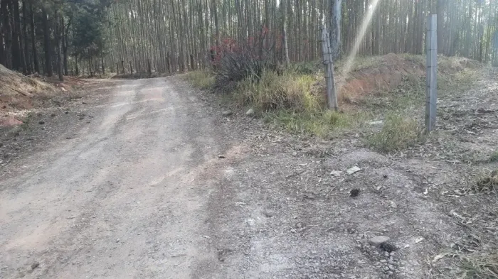 Fazenda/Sítio/Chácara para venda possui 1210000 metros quadrados com 4 quartos