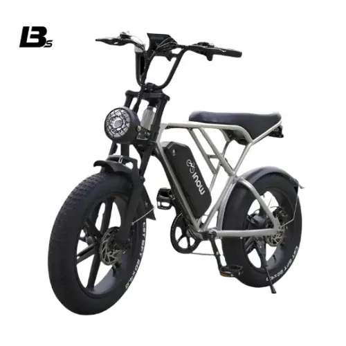 BICICLETA ELÉTRICA