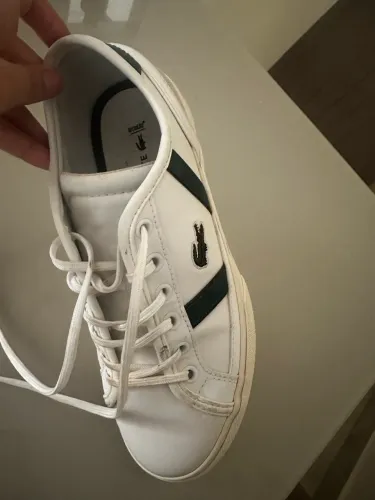 Sapato Lacoste Original 