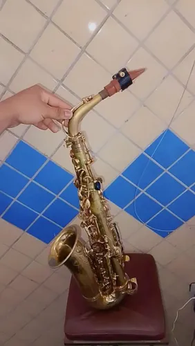 Saxofone semi novo 2 bocais e 2 paleta pra artistas profissionais
