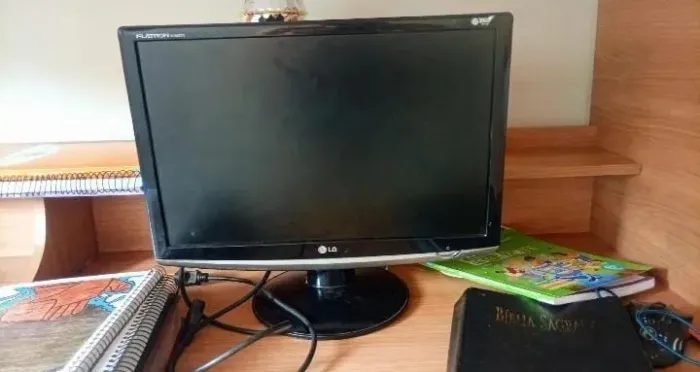 Monitor LG 19