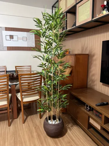 Arranjo de bambu completo 