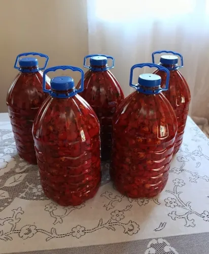 5Kg de Pimenta Dedo de Moça em Conserva A VERDADEIRA (Capsicum Baccatum)