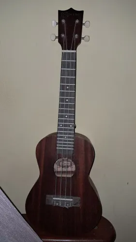 Ukulele Concert Spring acústico + Case