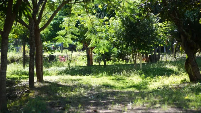 Rancho Corumbá 