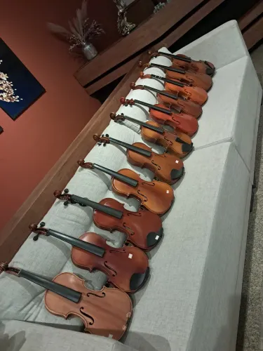 Lote de violinos