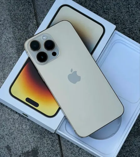 14 Pro Max