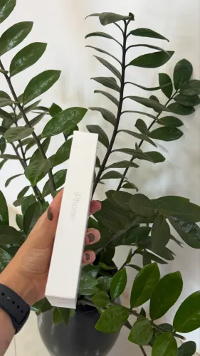 IPHONE 17 PRO MAX 256GB SILVER ?