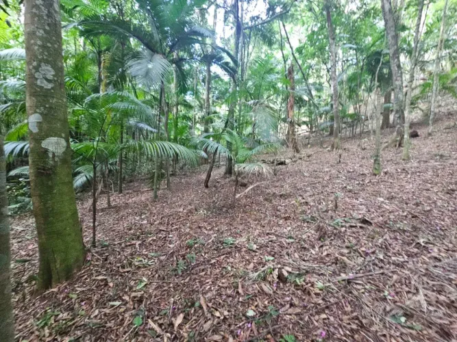 Terreno próximo ao centro de Juquitiba