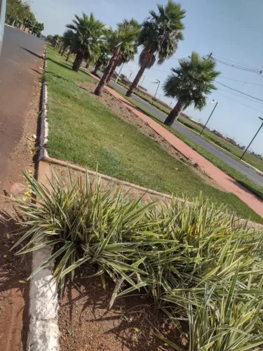 TERRENO EM ESQUINA PRÓXIMO À AVENIDA ADÉLIA FERNANDES FERREIRA