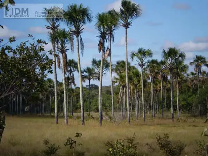 Fazena agropecuária com 1.366 ha em Formoso - MG