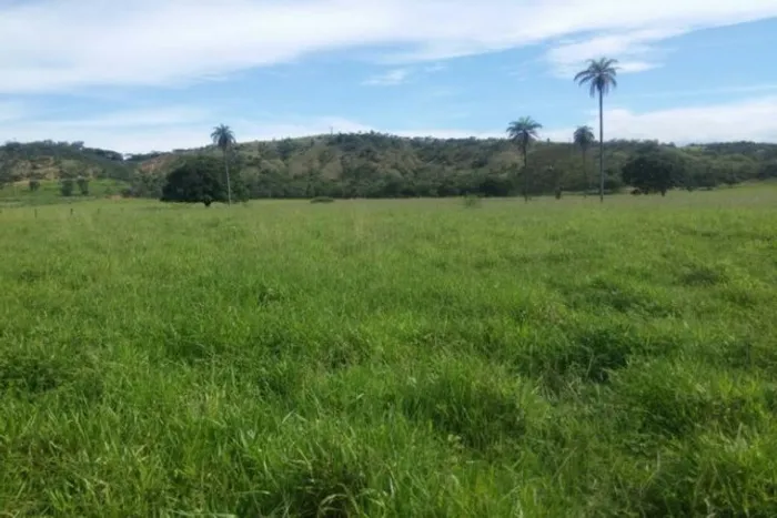 Linda fazenda de 33,4 ha,Jequitibá(Temos varias opções)