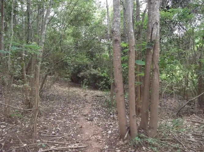 Terreno 60.000m² as margens do Rio das Velhas,com uma nascente no terreno, Cordisburgo.