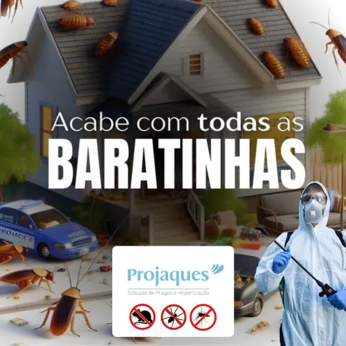 Dedetização baratas, ratos e insetos em geral